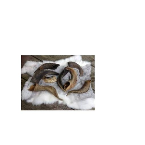 Cuerno de Cabra y Forma Natural, Tamaño Personalizado, Precio Económico, Cuerno Natural de Carnero Shofar, Cuerno de Oveja Más Vendido - Product Image 2