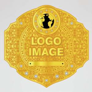 Ceinture de championnat de lutte personnalisée avec logo, plaque centrale dorée à quatre côtés, en laiton et zinc, sangle noire de 2 mm/4 mm d'épaisseur - Product Image 2