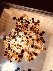 Boutons en corne de buffle véritable écologiques faits à la main pour costume, manteau, pull, blanc, noir, utilisation pour vêtements de sport, Inde - Product Image 4