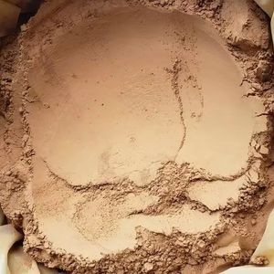 CANNELLE EN POUDRE MEILLEUR PRIX CHOIX DU FOURNISSEUR DU VIETNAM - Product Image 1