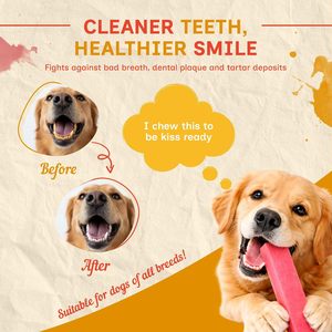 Friandises pour chiens au fromage de yak de l'Himalaya naturel, à haute teneur en protéines, sans gluten, sans céréales, saveur fraise, longue durée, OEM ODM - Product Image 6