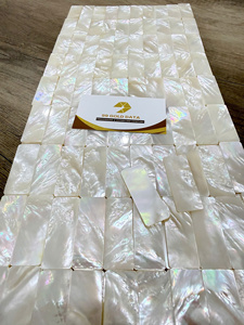 Pièces en nacre en vrac pour composants de bijoux et décoration intérieure - Product Image 3