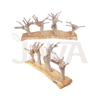 Javawoood Mini support d'arbre pour perroquet en bois de café naturel, écologique, léger et durable La Parade-4
