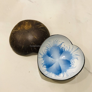 Bol en coquille de noix de coco de haute qualité pour le marché de l'UE/bol en noix de coco 14 fabriqué au Vietnam Fabricant - Product Image 1