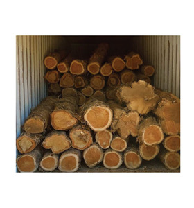 Fast Delivery Premium Quality <b>Oak</b> Wood <b>Logs</b> and <b>Oak</b> Beech Spruce <b>Logs</b> in Diameter Available Now - Product Image 1