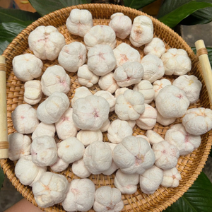 Freeze Dried Mangosteen Natural Tropical Fruit FD Drying Process Crispy Snack Vietnam Bulk Dried Fruits Export Supply - Product Image 6