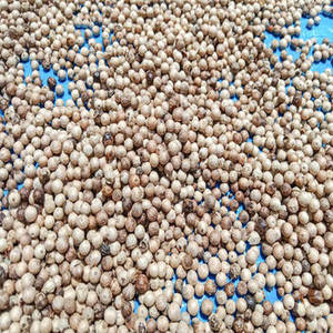 Pimienta Blanca India Natural de Nueva Temporada, Especia Entera con 24 Meses de Vida Útil para Compradores B2B Globales que Buscan Ingredientes Versátiles para Alimentos - Product Image 5