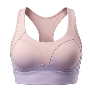 Seamless <b>Stretch</b> Workout Wear Women Sports <b>Bra</b> High Impact Women Sports <b>Bra</b> Comfortable Wear - Product Image 1