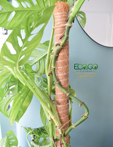 Poteau en fibre de coco – Noyau en bois robuste ou noyau en métal flexible |   Soutien naturel pour les Monstera, les Philodendron et les plantes grimpantes - Product Image 3