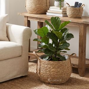 Woven Wicker <b>Plant</b> <b>Basket</b> Set with Handles, Indoor Flower Pot Cover Vietnam Wholesale from Viettimecraft Factory - Product Image 3