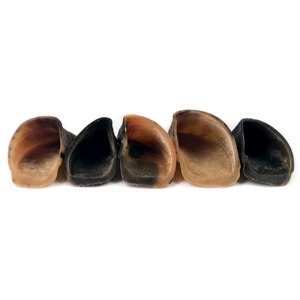 Hornos de Búfalo Naturales, Material en Bruto para Manualidades, Decoración del Hogar, Producción de Joyería, Estilo Rústico/Moderno, Precio Económico - Product Image 5
