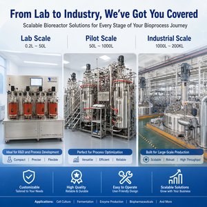 5l 10l 3000l 10000l Litre Bioreactor Fermenter Types Industrial Fermentor Fermentation Tank Machine Fast Ferment Bio Reactor