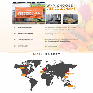 Dés de fruit du dragon surgelés certifiés BRC HACCP, qualité d'exportation - Product Image 5