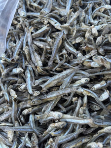 Anchois séchés au soleil du Vietnam, produit de la pêche pour la cuisine, ingrédients, approvisionnement au détail et distribution en gros - Product Image 4