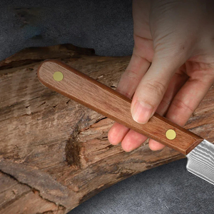 Cuchillo de Cocina de Acero de Damasco, Cuchillo para Pelar Frutas, Cuchillo Afilado para Cortar Carne y Verduras, Herramienta de Cocina Ligera y Fácil de Usar - Product Image 4