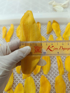 Tranches de mangue séchée douce du Vietnam, texture moelleuse, emballage en vrac pour services alimentaires et traiteur OEM/marque privée - Product Image 5