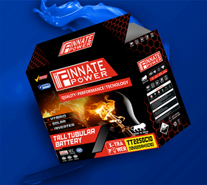 Batteries tubulaires au plomb-acide TT2250 12V 225AhC10 pour l'installation de panneaux solaires, fabriquées en Inde, avec une garantie de 24 mois. - Product Image 2