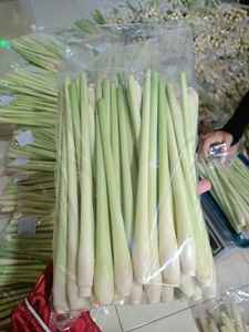 Citronnelle congelée entière, coupée, tranchée et hachée Meilleur prix Citronnelle congelée: première exportation du Vietnam pour le marché international 2025 - Product Image 3