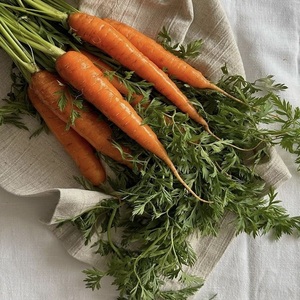 Nouvelle récolte de légumes biologiques frais en gros : Carottes rouges en vrac pour l'exportation depuis le Royaume-Uni - Product Image 6