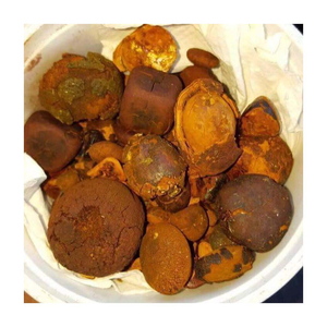 Cápsulas de cálculos biliares de ganado bovino de alta calidad, a granel, directo de fábrica, piedra natural seca, bajo peso específico, NMF (PTY) LTD Food - Product Image 4