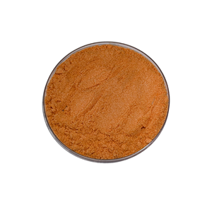 Poudre d'extrait de fruit de Gac Halal de qualité alimentaire en vrac, séchée par pulvérisation et emballée sous vide pour les aliments et les compléments alimentaires - Product Image 1