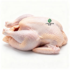 ผู้จัดจำหน่ายสินค้าจีนราคาส่ง เนื้อไก่สดแช่แข็ง อก<span class=keywords><strong>ไก่</strong></span> <span class=keywords><strong>ปีก</strong></span><span class=keywords><strong>ไก่</strong></span> เนื้อไก่ - Product Image 4