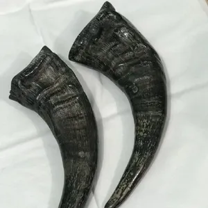 Natural Buffalo Horn Dog Chews Eco-Friendly Rounded Customized <b>Weight</b> Pet Food Crafted by ZF global export - Product Image 2