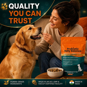 OEM ODM Suplementos Alimenticios Probióticos Naturales en Tabletas Masticables para la Salud Intestinal de Perros y Gatos, Absorción Rápida, Sabor Personalizado - Product Image 6