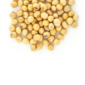 Haricots de soja séchés de haute qualité, graines de soja, soja biologique à vendre à bas prix - Product Image 1