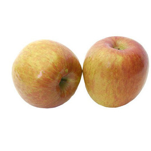 Manzanas Fuji frescas y deliciosas, recién cosechadas de huertos, para exportación a bajo precio - Product Image 4