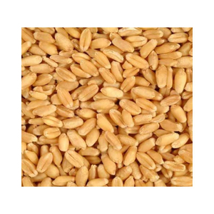 Grains de blé blanc naturel de haute qualité, grains entiers souples et durs, farine de blé pour la fabrication de pain et de pâtisseries, en vrac - Product Image 3