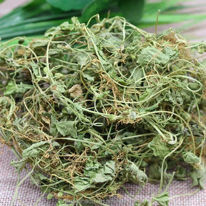 野生のGotu Kola生ハーブ乾燥アーユルヴェーダCentella Asiaticaはインドのペニーワートを残します薬用/エキス/スキンケア使用OEM受け入れます - Product Image 6