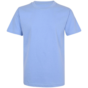 T-shirts unisexes de haute qualité OEM ODM, vêtements décontractés et tendance, fabricant exportateur, fournisseur en gros, t-shirt unisexe vierge premium - Product Image 4