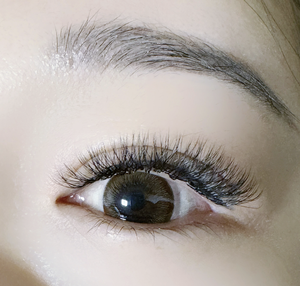 Premium coreano hecho a mano W Lash 0,07mm D Curl 8-14mm volumen pestañas para OEM ODM suministro - Product Image 5