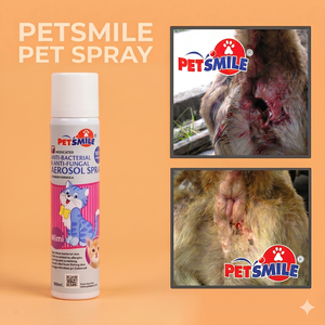 Aerosol Veterinario Antibacteriano y Antifúngico para Gatos, OEM Nano Silver Ecológico, Protección de 24 Horas, 100 ml - Product Image 1