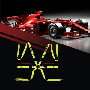 Cinturón de Seguridad de Carreras de Marca Personalizada OEM TBRACING FIA 8853 2016, Servicio de Distribución, Almohadilla Antideslizante, Estructura de Costura de una Sola Pieza - Product Image 1