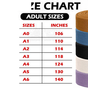 Ceinture d'arts martiaux sur mesure, service OEM, meilleur matériau, ceinture d'arts martiaux la plus vendue - Product Image 6