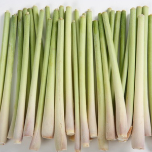 Citronnelle séchée hachée de haute qualité pour les plats salés prêts en vrac du Vietnam - Product Image 5