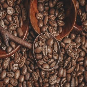 เมล็ดกาแฟอาราบิก้าออร์แกนิกคุณภาพสูง คั่วแบบอาราบิก้า เกรด A ผลิตในออสเตรีย อายุการเก็บรักษา 2 ปี บรรจุภัณฑ์แบบขายส่ง - Product Image 1