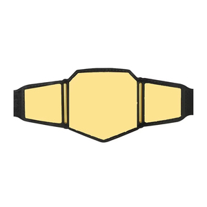 Ceinture de championnat de lutte réplique, qualité supérieure, finition de haute qualité, logo personnalisé, ODM, vente en gros, design unique 2026 - Product Image 1