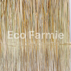 Material de techado sostenible, láminas de techo de paja natural, rollos de hojas de hierba natural para techos de paja. - Product Image 3