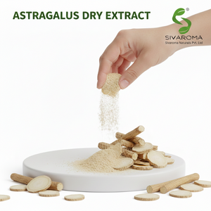 Extrait sec d'Astragale Sivaroma pour les acheteurs commerciaux soutenant les lignes de production de produits naturels - Product Image 5