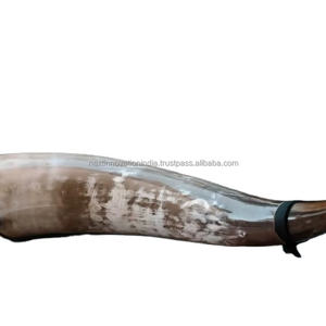 Handcrafted Viking-Style Polished <b>Drinking</b> <b>Horn</b> with Stand Leak-Proof and Food-Safe Natural Crafts - Product Image 1