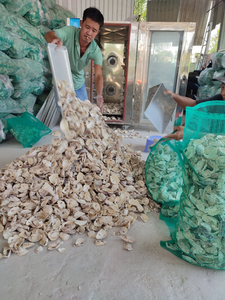 Conchas de Ostra Naturales Trituradas, Suplemento de Calcio para Aves de Corral, Gránulos para Gallinas Ponedoras, Acondicionador de Suelo, Fertilizante - Product Image 6