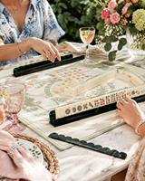 Ensemble de pousseurs de Mahjong américain en acrylique tortue, moderne, portable, personnalisé, de luxe, avec bord festonné et design magnétique, vente en gros, cadeau