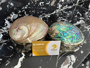 Boîte à bijoux en nacre et abalone scintillante, avec intérieur en velours rouge, pour l'organisation et la présentation de bagues et colliers, Modèle 2026 - Product Image 2