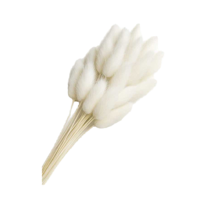 Herbe de la pampa naturelle moelleuse de haute qualité en gros pour les événements de bricolage, la décoration de Noël et d'Halloween, les mariages - Product Image 1