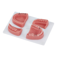 Coussin d'entraînement en silicone rose pour la suture dentaire et la pratique des dents, fournisseur en gros d'instruments chirurgicaux dentaires