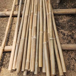 Poteaux en bambou doré du Vietnam, paquet de 1 à 10 m de long, solides et épais, pour l'agriculture, la construction et la décoration intérieure - Product Image 1