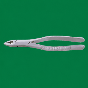 Pinzas de Extracción Dental 101, para Bicuspides Superiores e Inferiores, Dientes Deciduos, Instrumentos Universales Manuales Plateados, Clase I, Alta Calidad, CE - Product Image 2
